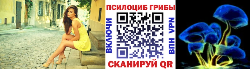 Галлюциногенные грибы прущие грибы где можно купить Куйбышев
